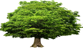 污水處理設(shè)備篇：一體化污水處理設(shè)備的優(yōu)勢和 一體化設(shè)備運維及故障檢查